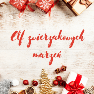 Elf zwierzakowych marzeń