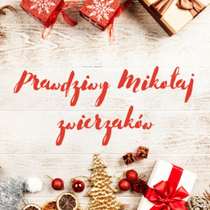 Prawdziwy Mikołaj zwierzaków